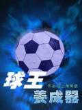 球王养成器
