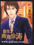 重生之商海惊涛