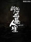 我的盗墓人生