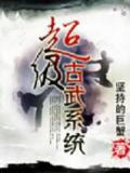 超级古武系统