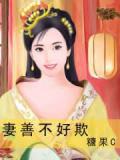 妻善不好欺