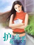 护花高手