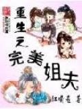重生之完美姐夫