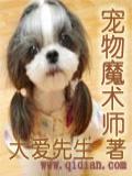 宠物魔术师