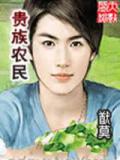 贵族农民
