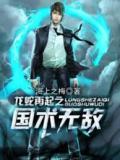 龙蛇再起之国术无敌
