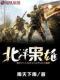 北洋枭雄