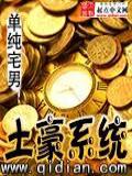土豪系统