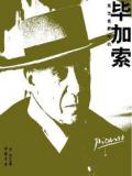 毕加索传